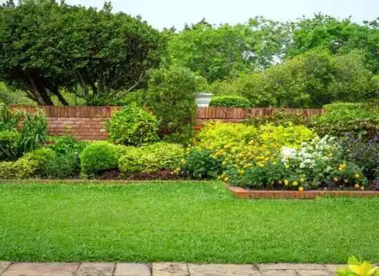 landscaping services Williamsdale